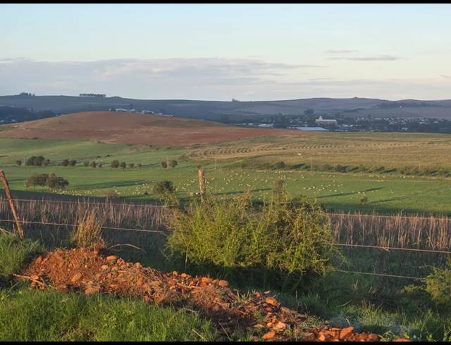 539HA FARM FOR SALE IN RIVERSDALE RURAL